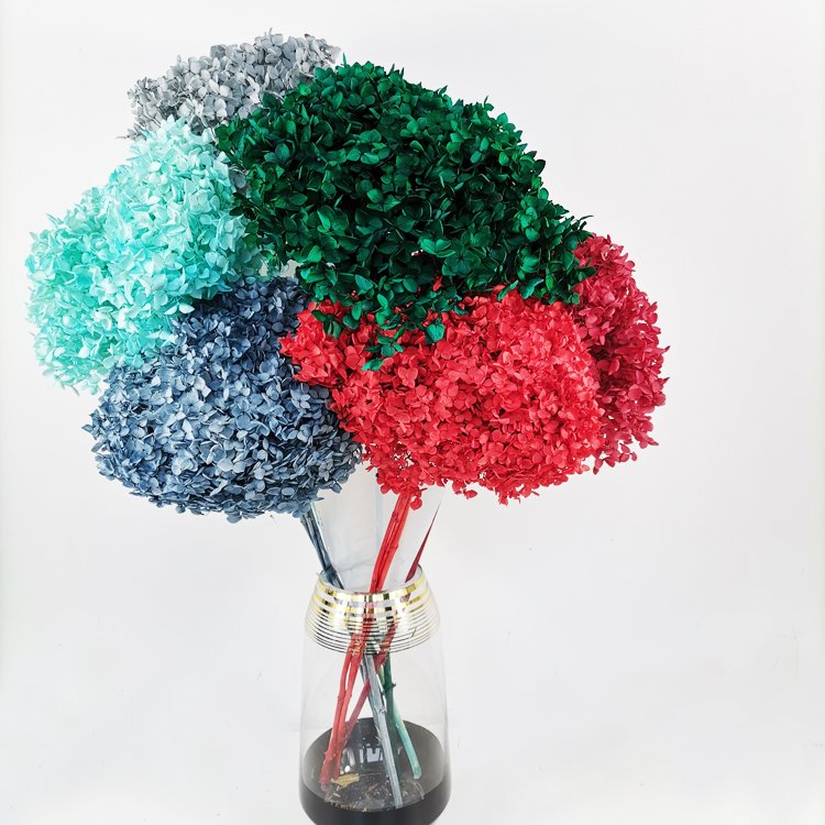 SumFlora Wedding decoration beautiful red immortal flower preserved flower hydrangea