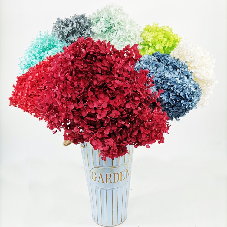 SumFlora Wedding decoration beautiful red immortal flower preserved flower hydrangea