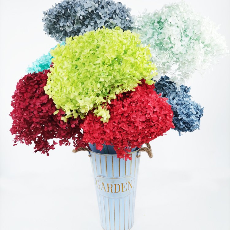 SumFlora Wedding decoration beautiful red immortal flower preserved flower hydrangea