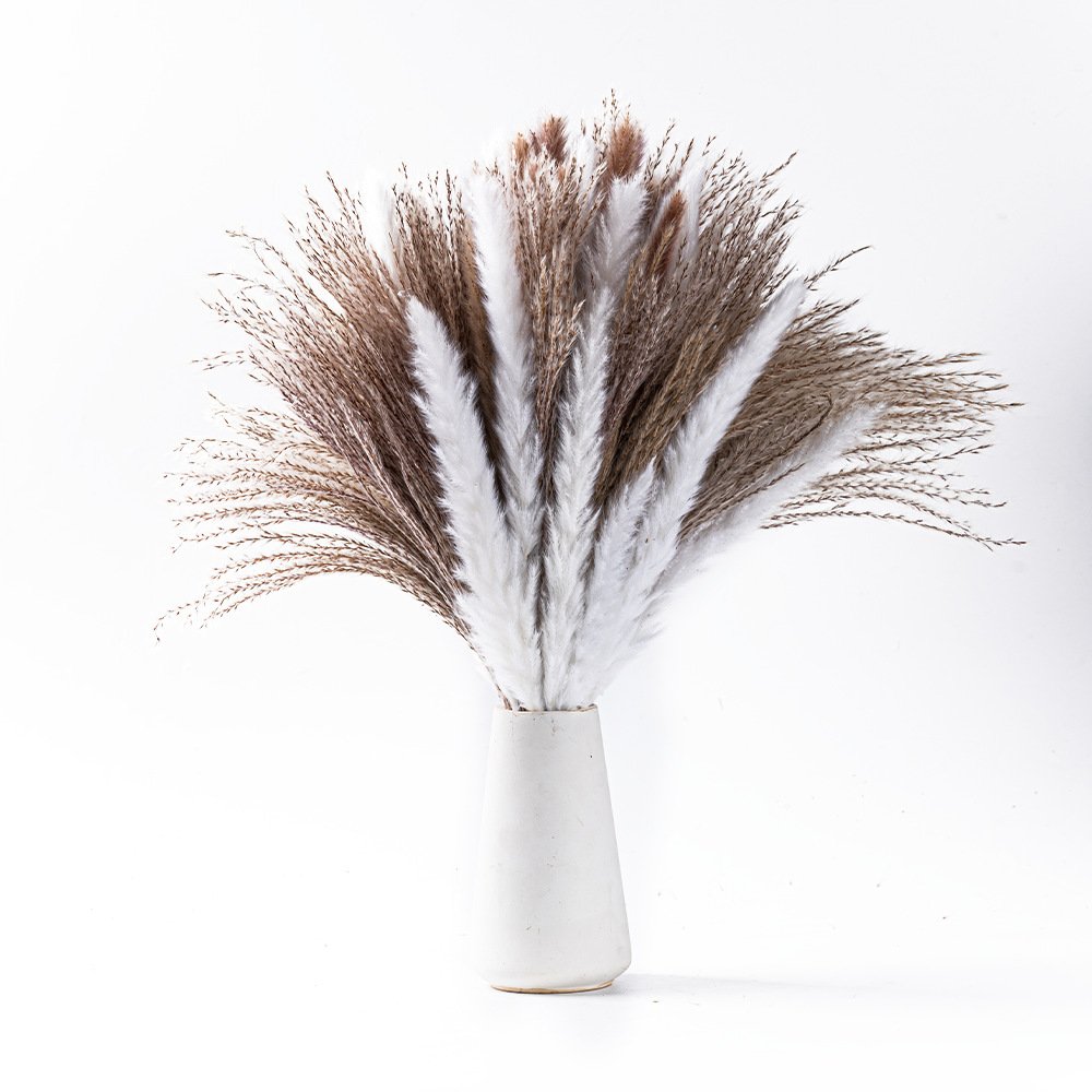 45cm Natural Dried Flowers Reed Real Flower Bouquet Pampas Grass for wedding decoration