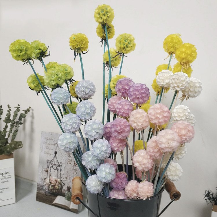 SumFlora Yunnan Preserved Flowers Natural Fresh Bouquet Combretocarpus Flower for Valentine's Day