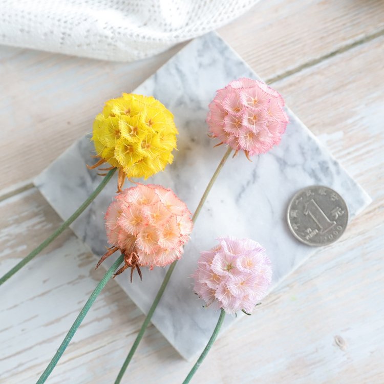 SumFlora Yunnan Preserved Flowers Natural Fresh Bouquet Combretocarpus Flower for Valentine's Day
