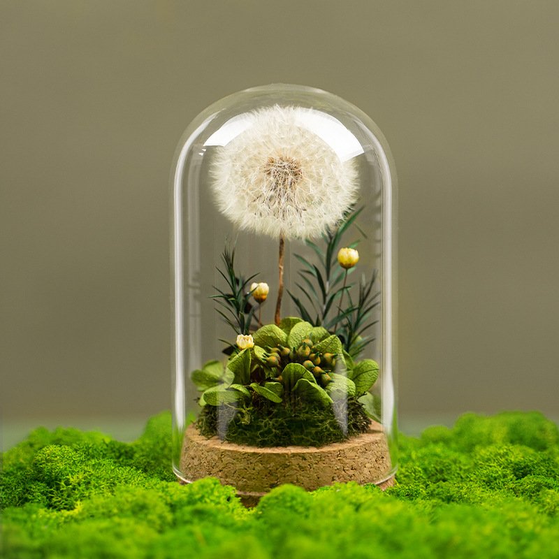Wholesale Natural Preserved Dandelion Eternal Rose Floral Centerpiece Botanical Table Preserved Dandelion Flower In Glass Dome