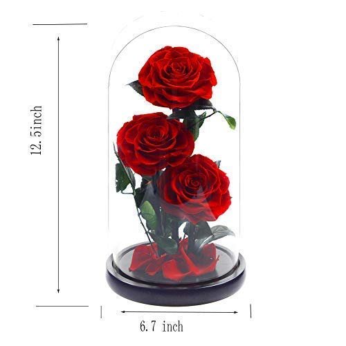 Top quality eternity rose preserved rose forever rose in glass dome including gift boxes
