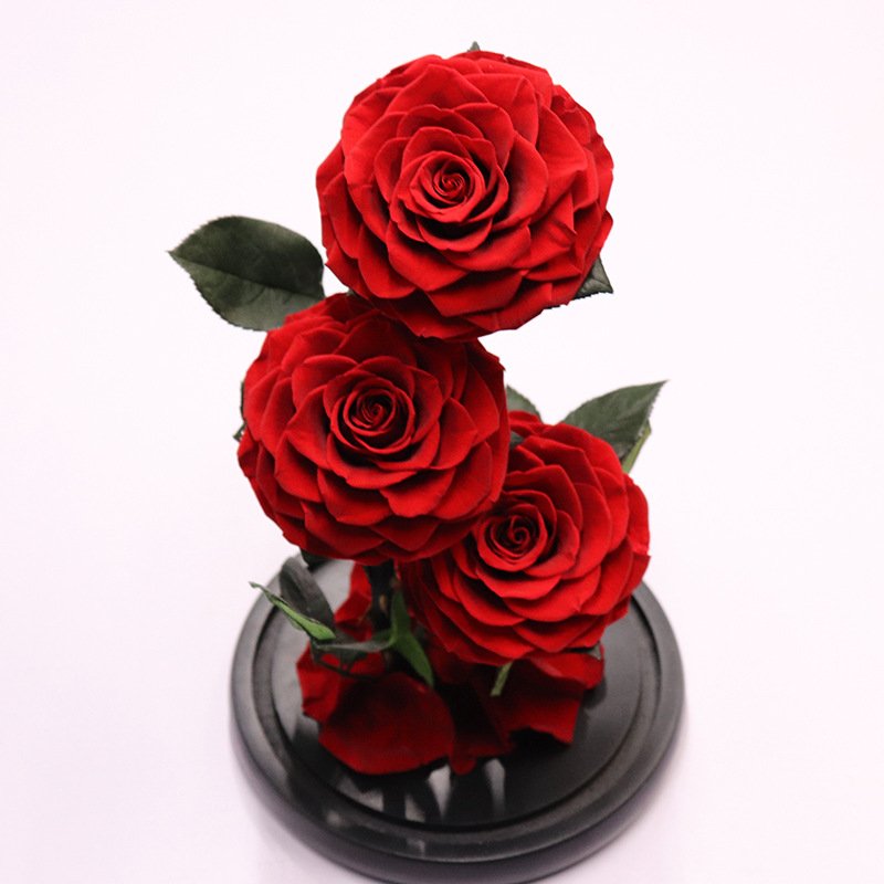 Top quality eternity rose preserved rose forever rose in glass dome including gift boxes