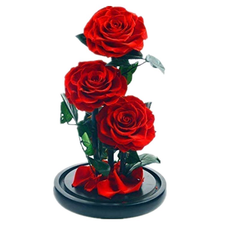 Top quality eternity rose preserved rose forever rose in glass dome including gift boxes