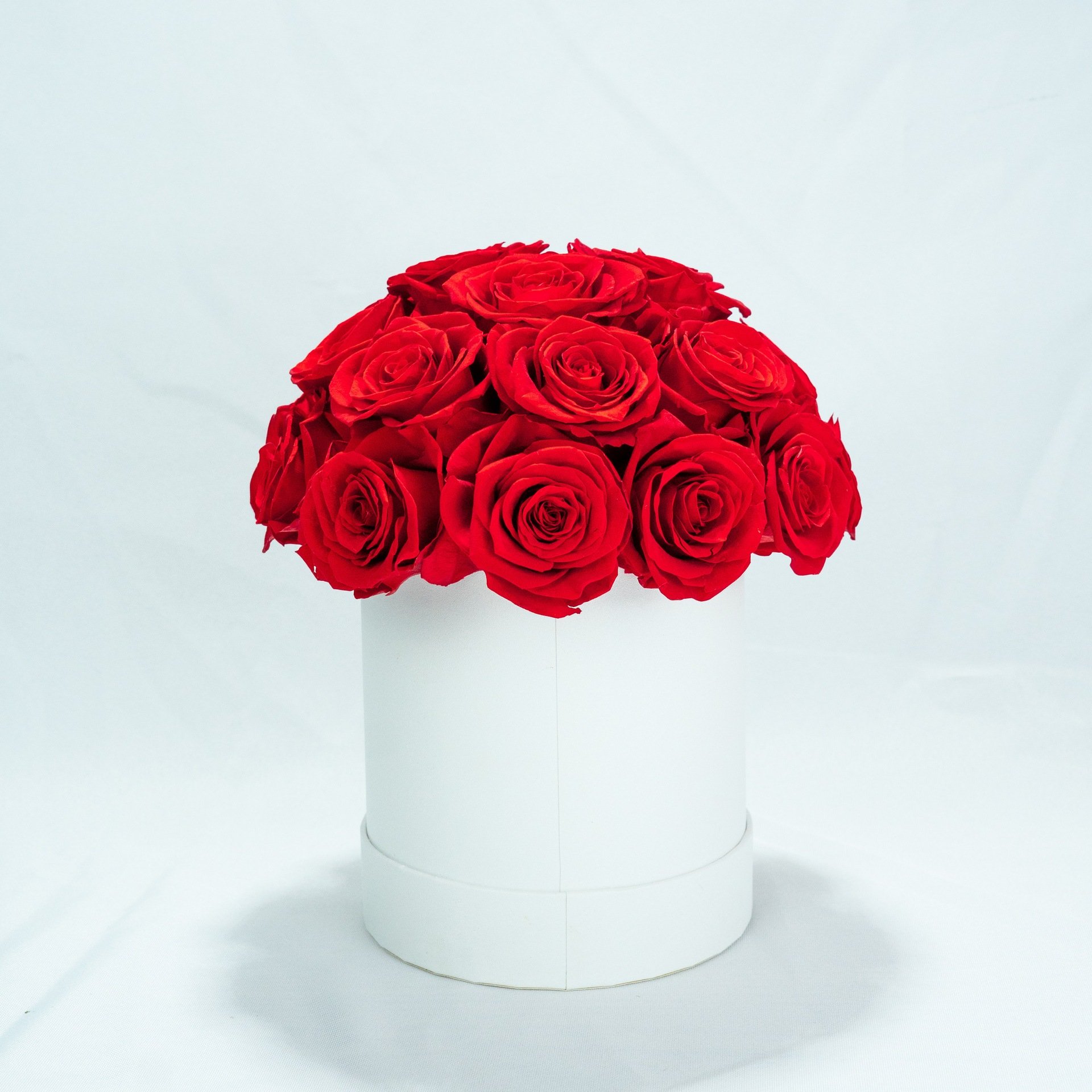 Ecuadorian Beautiful preserved red roses flowers for wedding flower arrangements