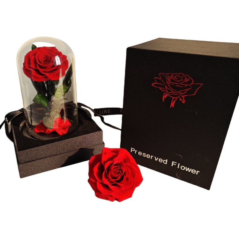 Wholesale Best Selling Products Little Prince Preserved Rose Immortal Roses In Glass Dome Gift Box with led