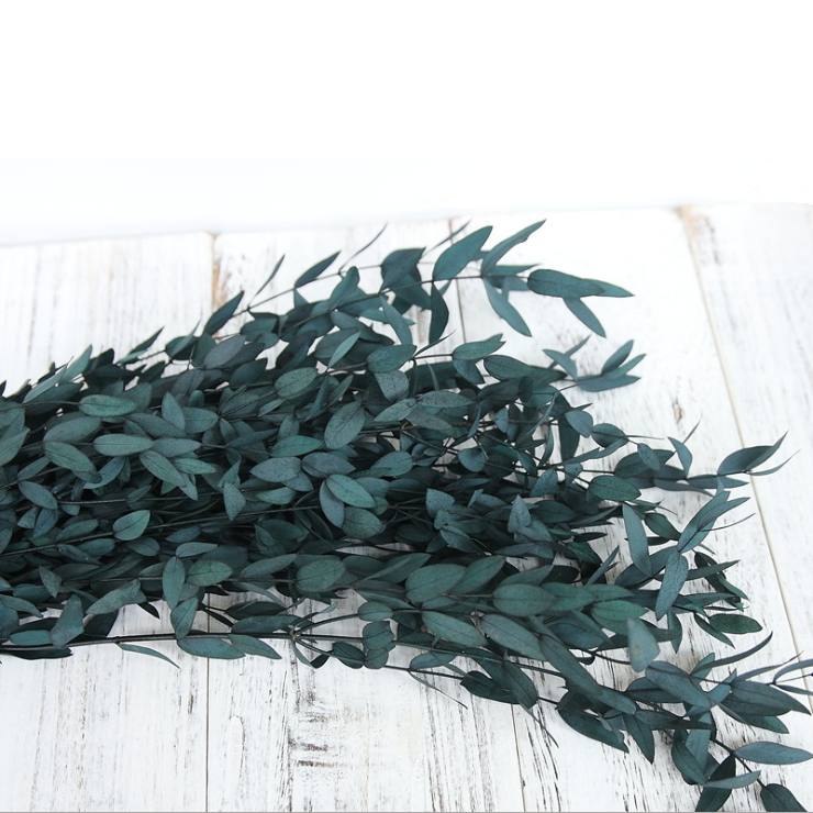 Factory supply preserved eucalyptus parvifolia artificial flower for DIY flower arrangement rose box