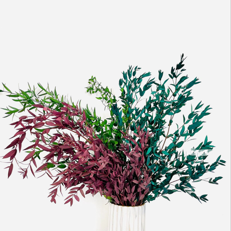 Factory supply preserved eucalyptus parvifolia artificial flower for DIY flower arrangement rose box