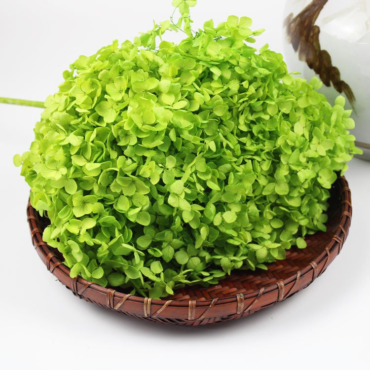 2023 most popular preserved hydrangea preserved Flower hydrangea flower preserved hydrangea for Home Decoration