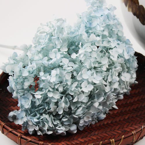 2023 most popular preserved hydrangea preserved Flower hydrangea flower preserved hydrangea for Home Decoration