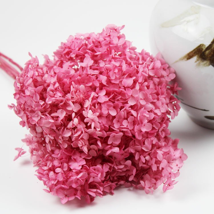 2023 most popular preserved hydrangea preserved Flower hydrangea flower preserved hydrangea for Home Decoration