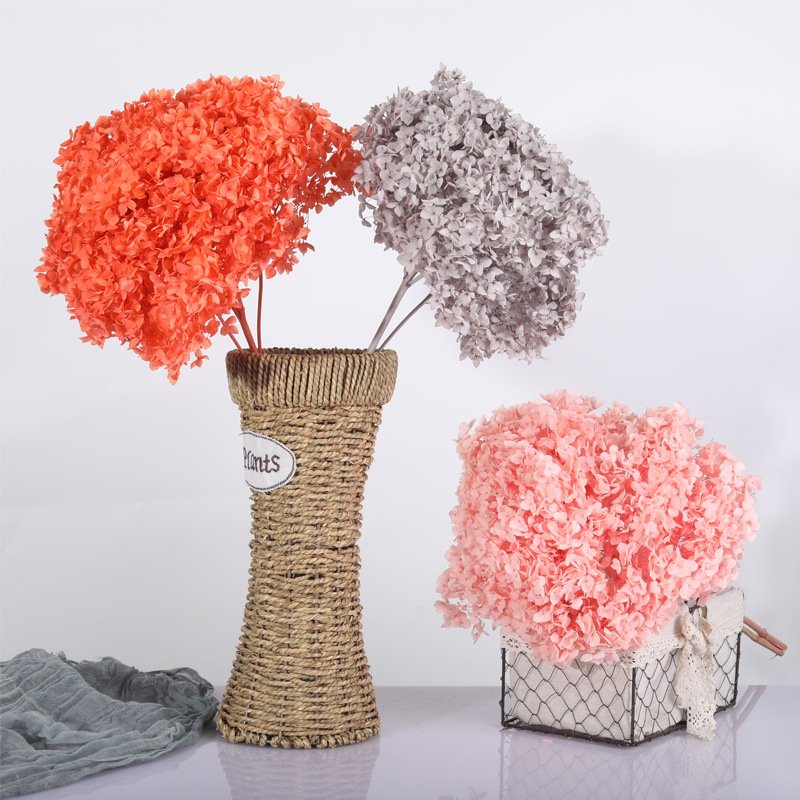2023 most popular preserved hydrangea preserved Flower hydrangea flower preserved hydrangea for Home Decoration