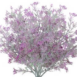 C-3571M-purple