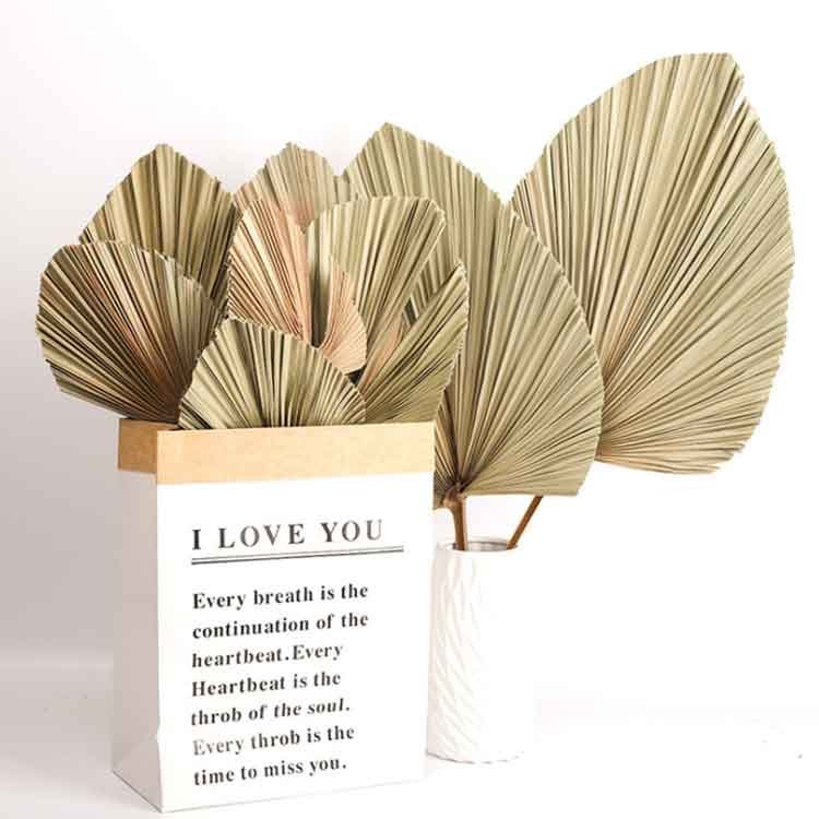 Wholesale Supply Palm Leaves Natural Dried Palm Leaves For Wedding Decor