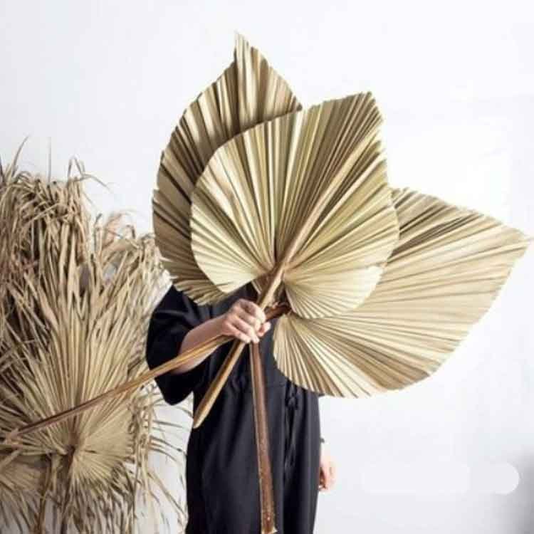 Wholesale Supply Palm Leaves Natural Dried Palm Leaves For Wedding Decor
