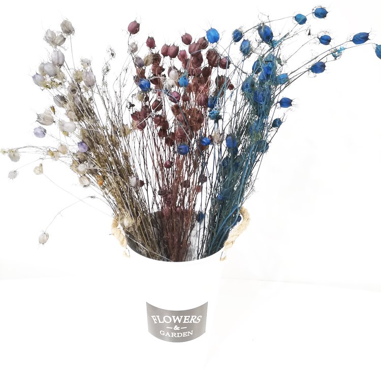 SumFlora Kunming factory Wholesale Luxury Gift Home Office Decor Natural artificial flower preserved flower nigella