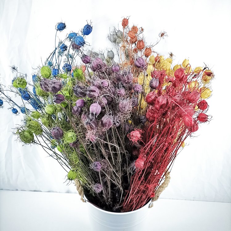 SumFlora Kunming factory Wholesale Luxury Gift Home Office Decor Natural artificial flower preserved flower nigella