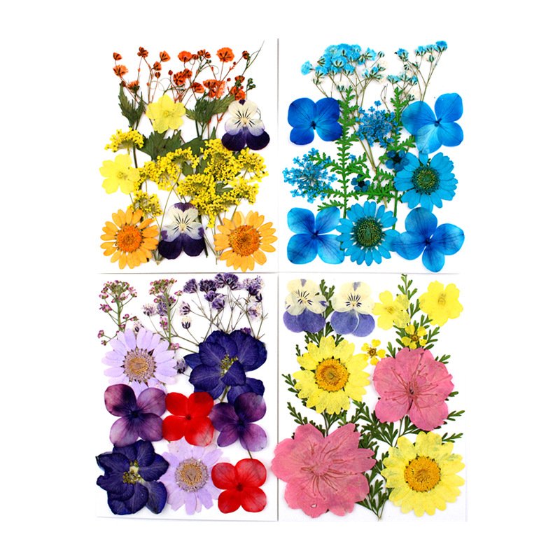 A-YH010 natural flower press baby's breath pansy hydrangea daisy Delphinium florals dried pressed flowers for resin art