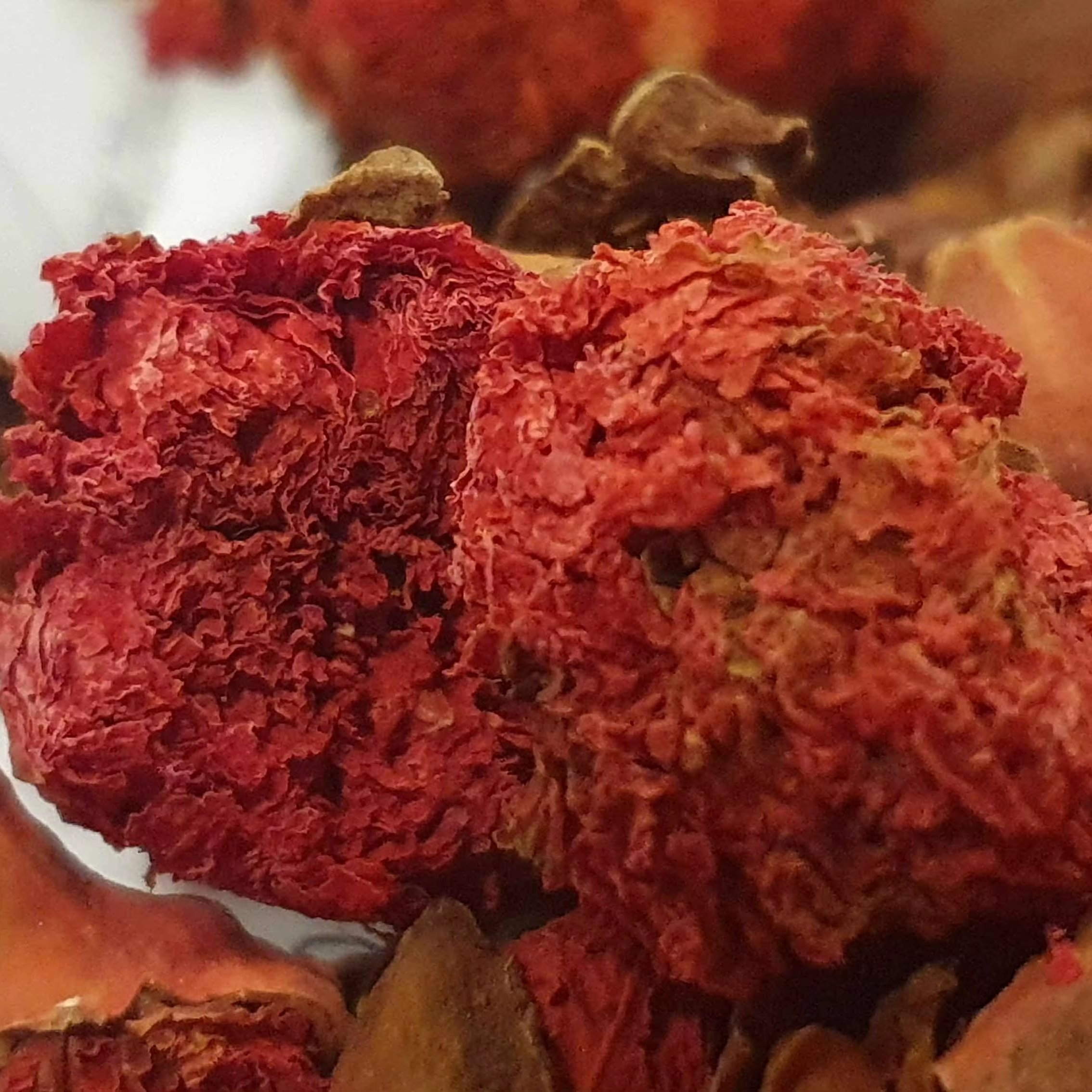 Pomegranate Dry Flowers High Quality Natural Fragrance Customized Packing Reasonable Price Pomegranate Dry Flowers OEM Service