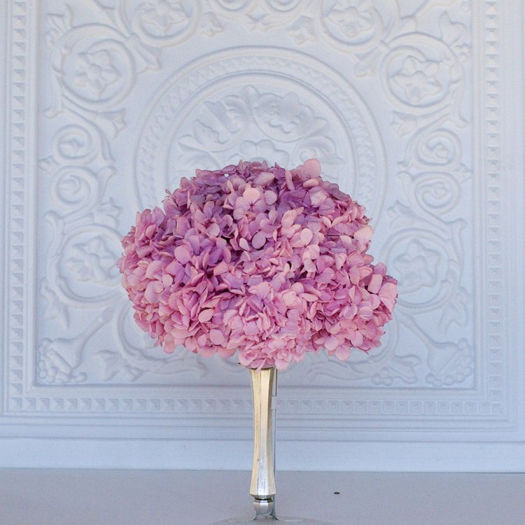 Sumflora Shining life eternal preserved flower large hydrangea for Wedding Decoration