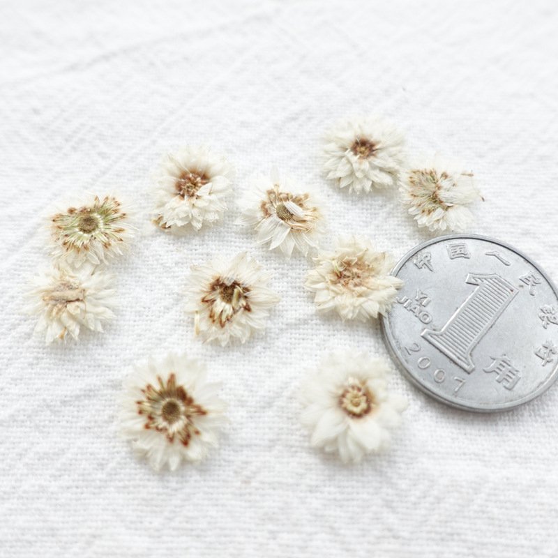 Dry Flower Preserved Helichrysum Wholesale Home Decoration Ornaments Handmade Preserved Flower