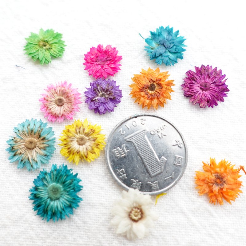Dry Flower Preserved Helichrysum Wholesale Home Decoration Ornaments Handmade Preserved Flower