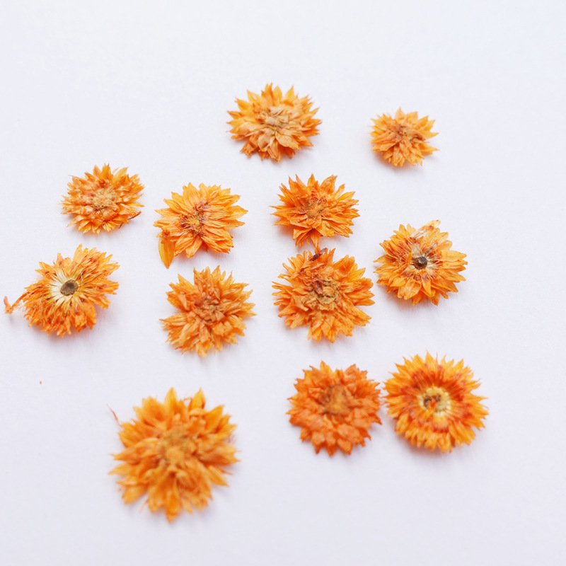 Dry Flower Preserved Helichrysum Wholesale Home Decoration Ornaments Handmade Preserved Flower
