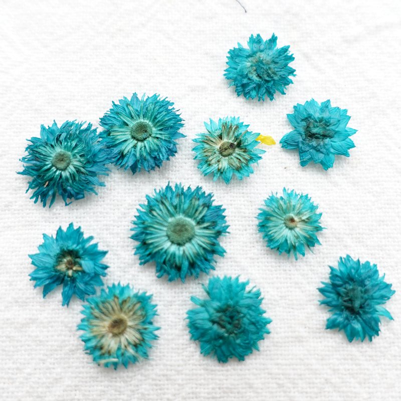 Dry Flower Preserved Helichrysum Wholesale Home Decoration Ornaments Handmade Preserved Flower