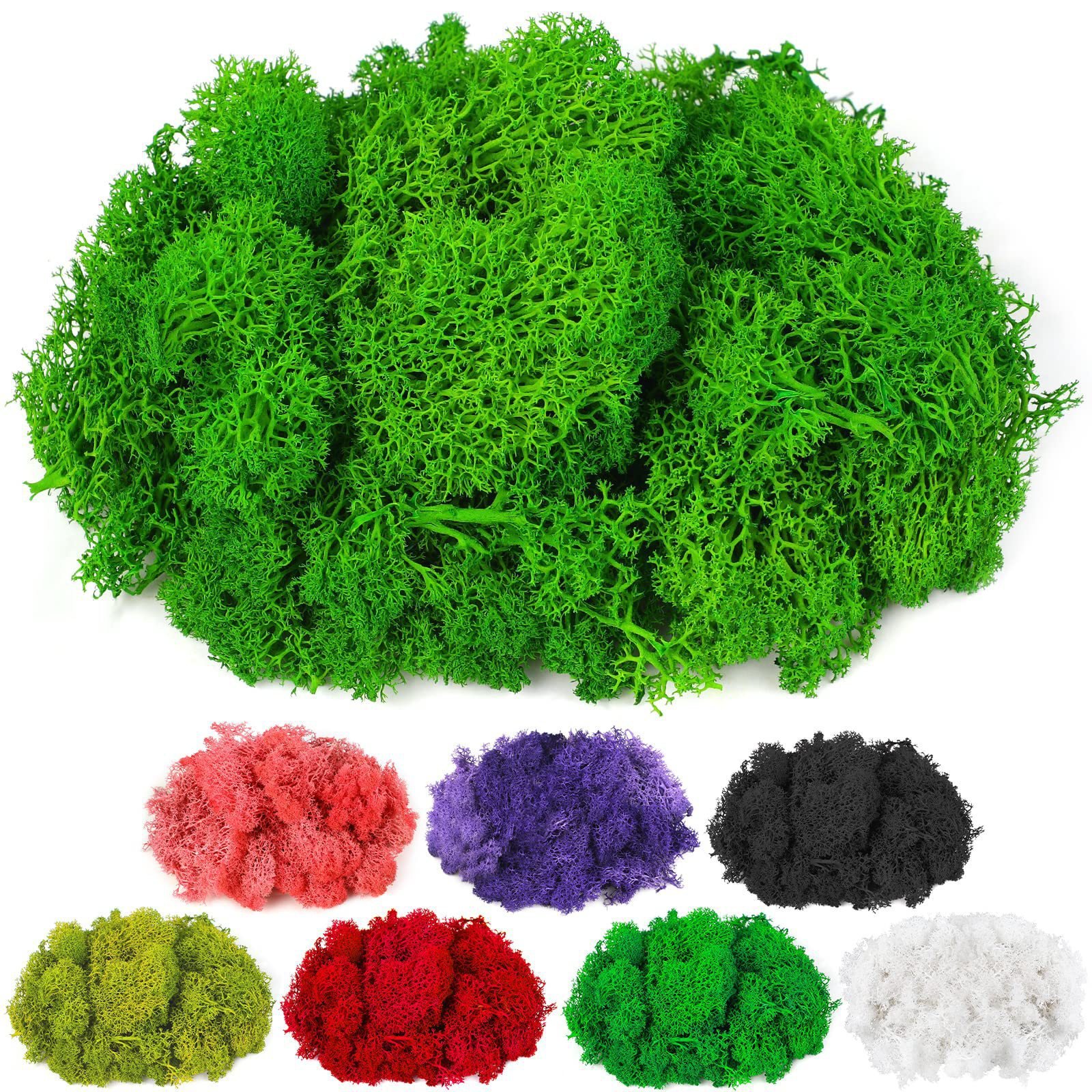 Preserved Moss Eternal Flower Material Stone Micro Landscape Dry Flower DIY Moss Plant Landscape Simulation Green Plant