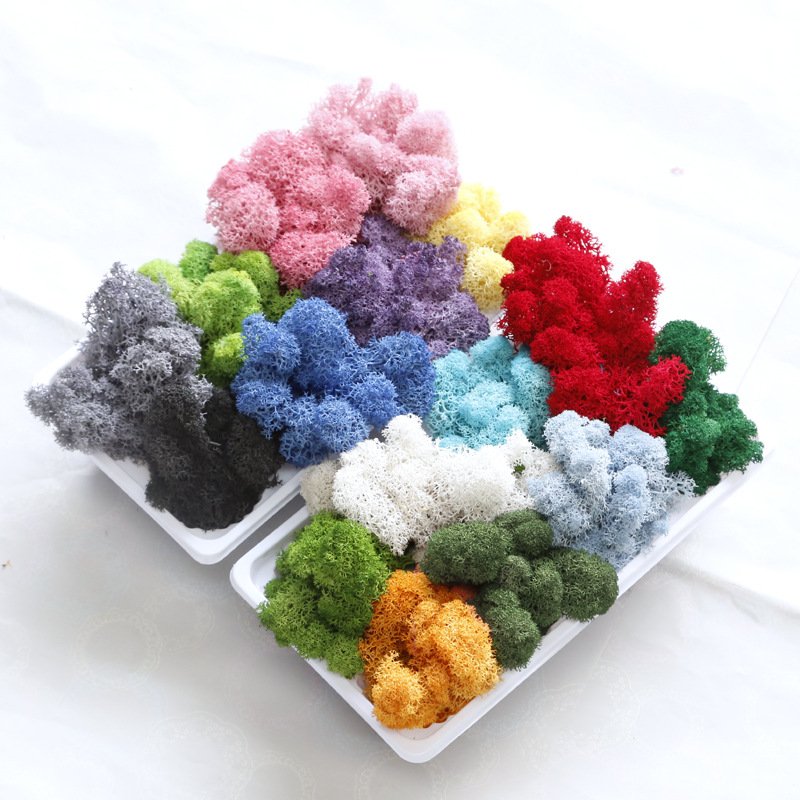 Preserved Moss Eternal Flower Material Stone Micro Landscape Dry Flower DIY Moss Plant Landscape Simulation Green Plant