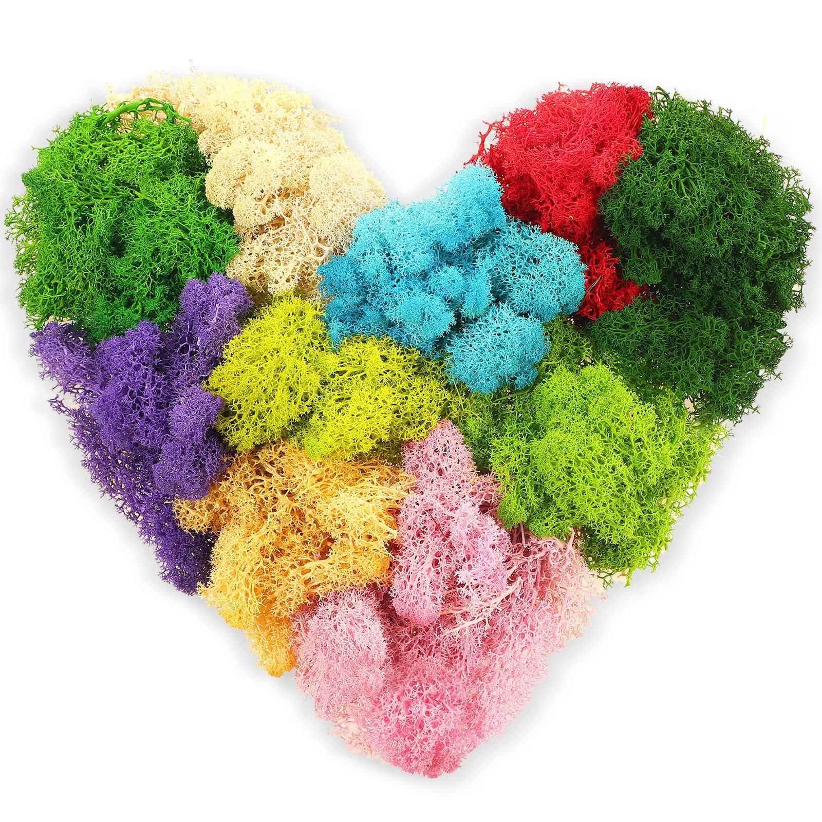 Preserved Moss Eternal Flower Material Stone Micro Landscape Dry Flower DIY Moss Plant Landscape Simulation Green Plant