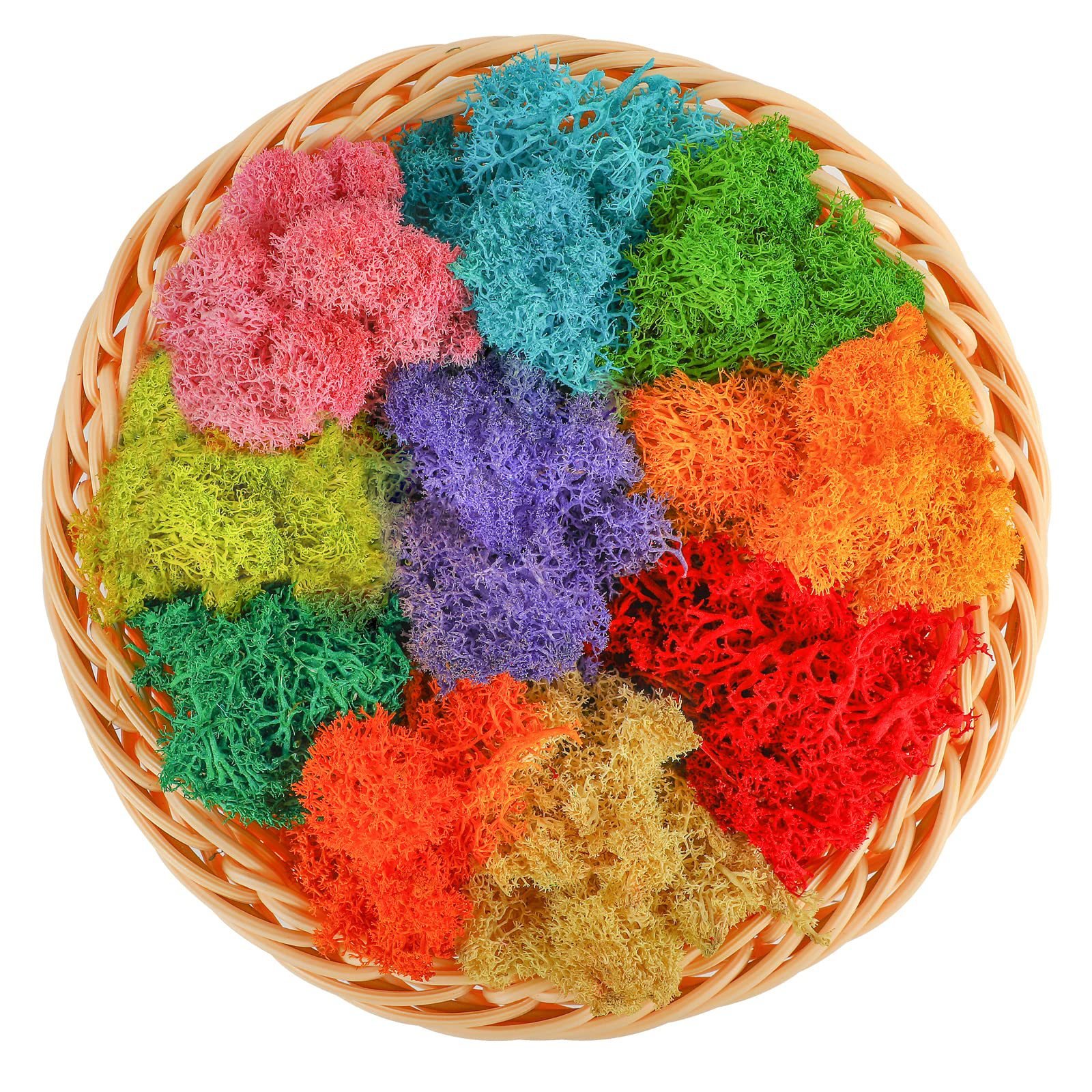 Preserved Moss Eternal Flower Material Stone Micro Landscape Dry Flower DIY Moss Plant Landscape Simulation Green Plant