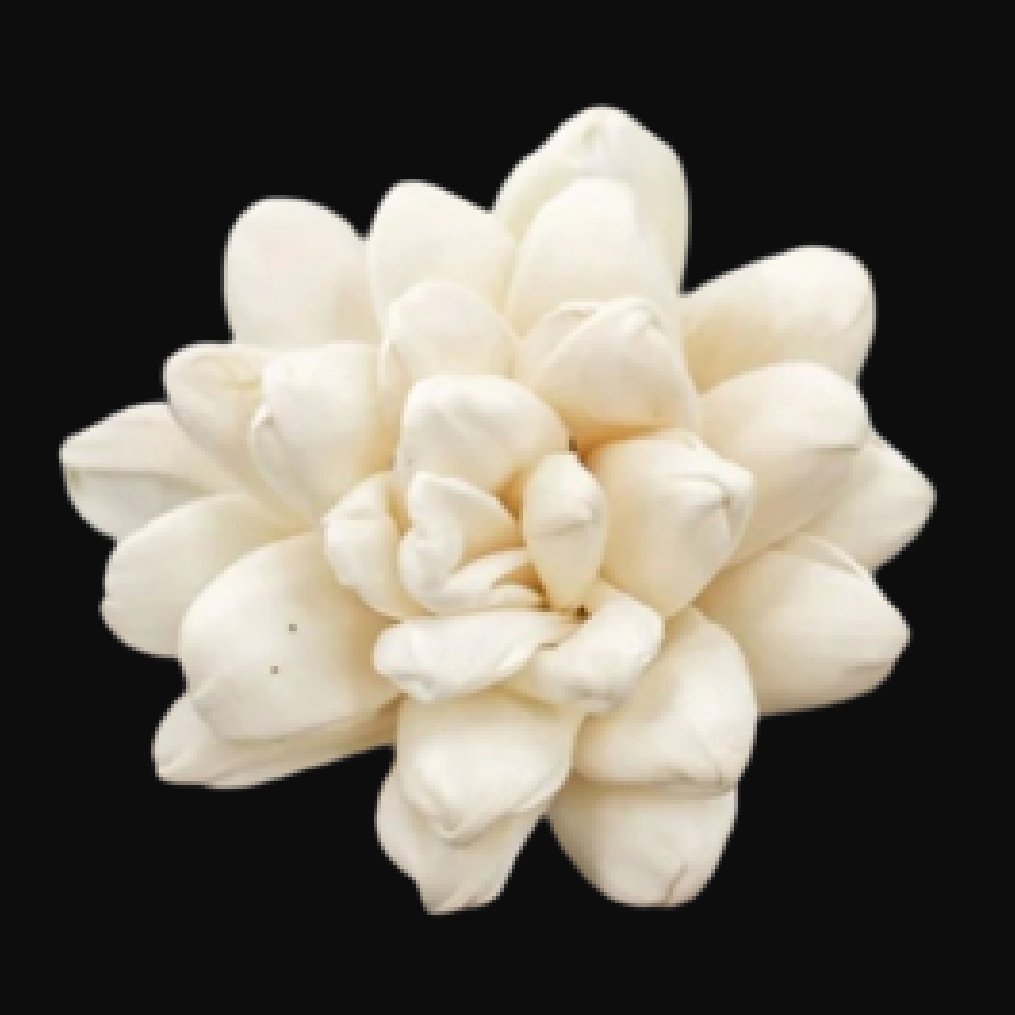 Sola Wood Flower Garland with Leaves - Jasmine Floral Wall Decoration for Natural Home Decor, Botanical Decor High Quality