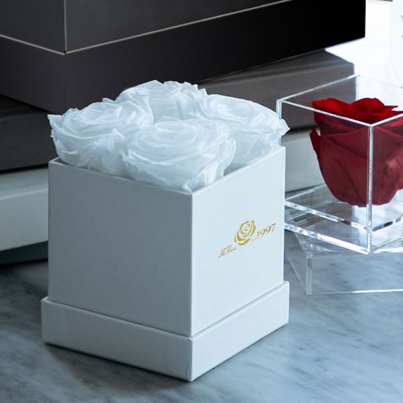 Hfloral Valentine Mother's Christmas Birthday Anniversary Gift Gold color Eternal Rose Red Square Preserved Roses Flowers in box