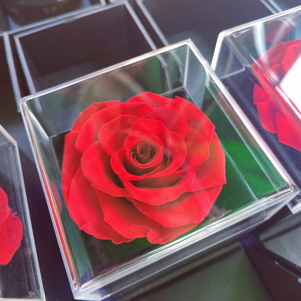 Eternal Forever Red Immortal Rose Preserved Roses Flowers Acrylic Boxes Mothers Day For Valentine's Day Gift