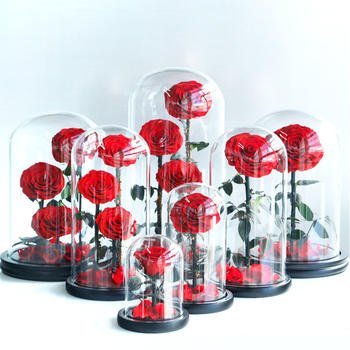 Eternal Rose Flowers Morthers Day Everlasting Preserved Flower Forever Roses In Glass Dome