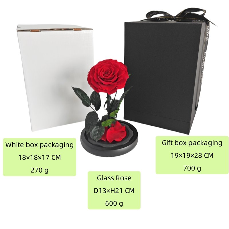 Eternal Rose Flowers Morthers Day Everlasting Preserved Flower Forever Roses In Glass Dome