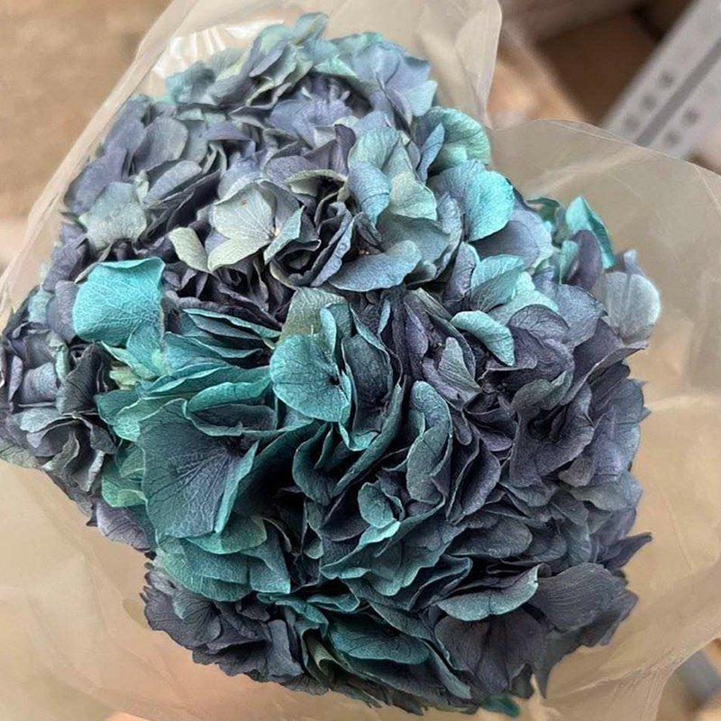 Best Quality Natural Immortal Preserved Flower Preserved Hydrangea From China White Hydrangea