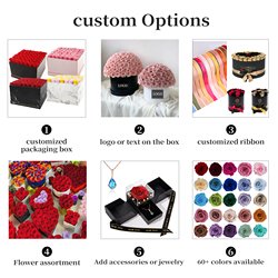 Customization