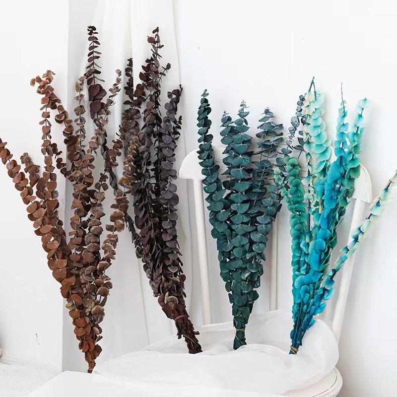 2024 Yunnan Factory wholesale boho style preserved flower eucalyptus wreath leaves for wedding & home decoration