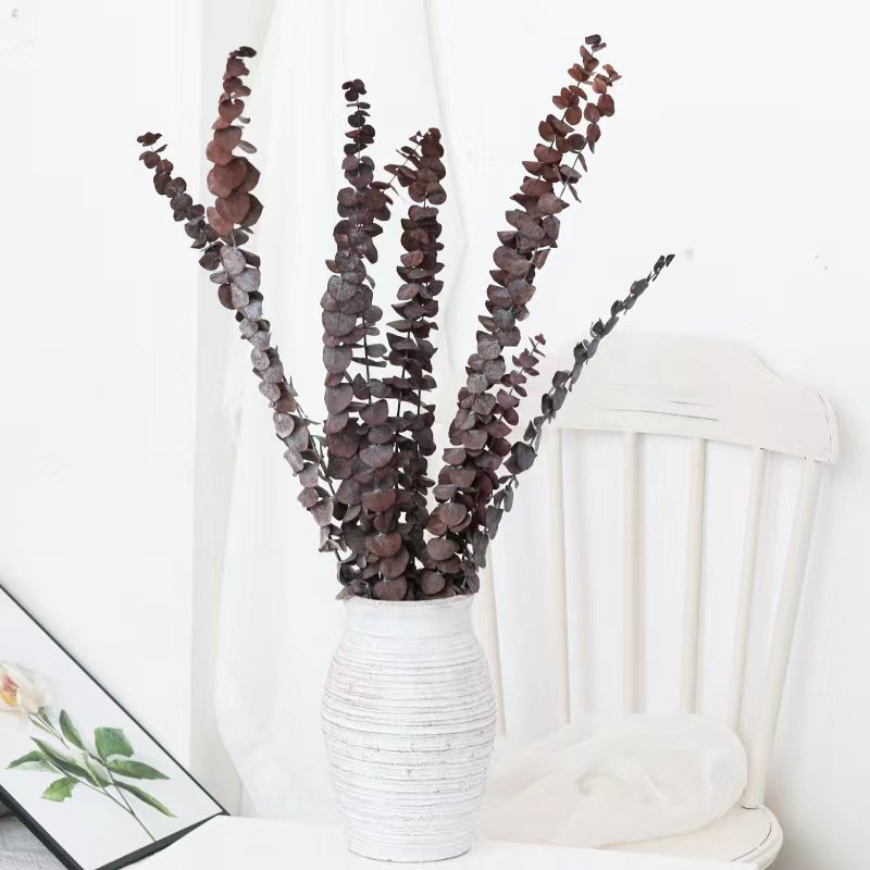 2024 Yunnan Factory wholesale boho style preserved flower eucalyptus wreath leaves for wedding & home decoration