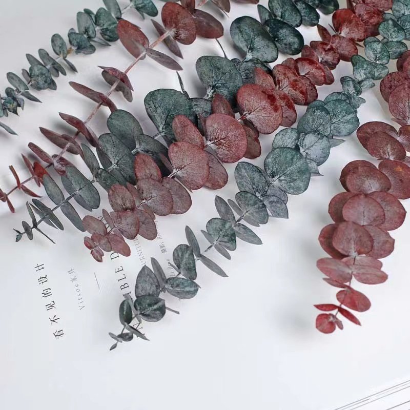 2024 Yunnan Factory wholesale boho style preserved flower eucalyptus wreath leaves for wedding & home decoration