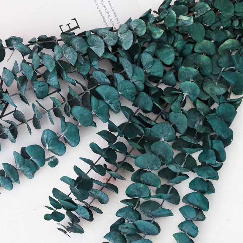 2024 Yunnan Factory wholesale boho style preserved flower eucalyptus wreath leaves for wedding & home decoration
