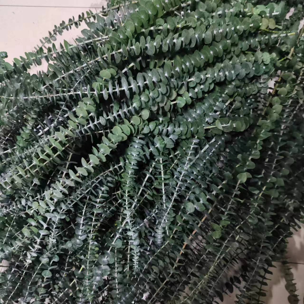 2024 Yunnan Factory wholesale boho style preserved flower eucalyptus wreath leaves for wedding & home decoration