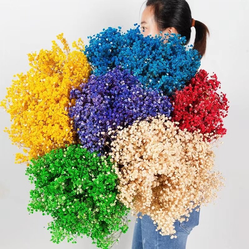2024 hot selling flower preserved flower Baby breathy for Home/Wedding/party decoration for flower arrangement