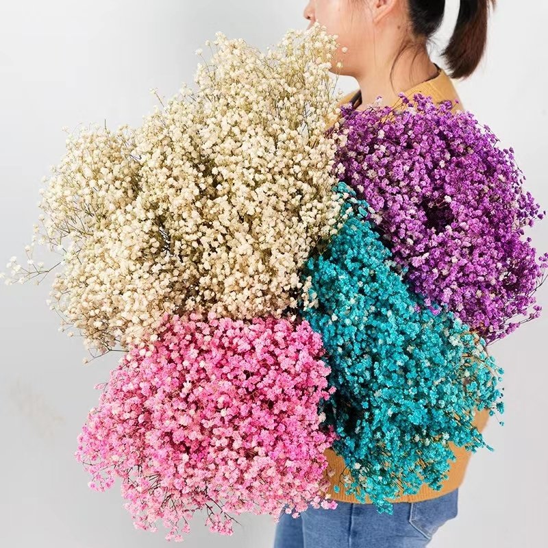 2024 hot selling flower preserved flower Baby breathy for Home/Wedding/party decoration for flower arrangement