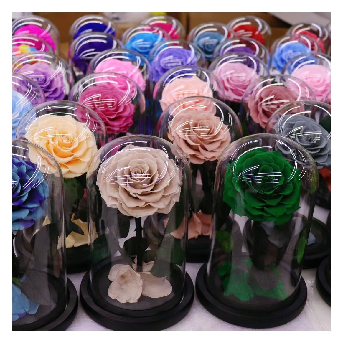 wholesale artificial eternal preserved rose flower preserved flowers and plants preserved flower in glass dome gold