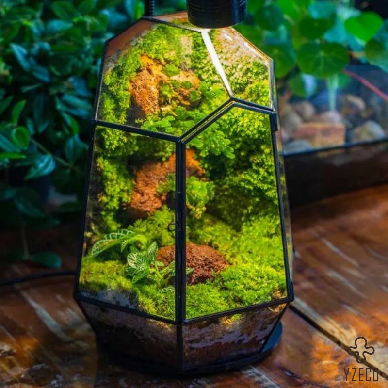 Hot Selling Creative Desktop Moss Micro Landscape Finished Bonsai For Desktop Decoration